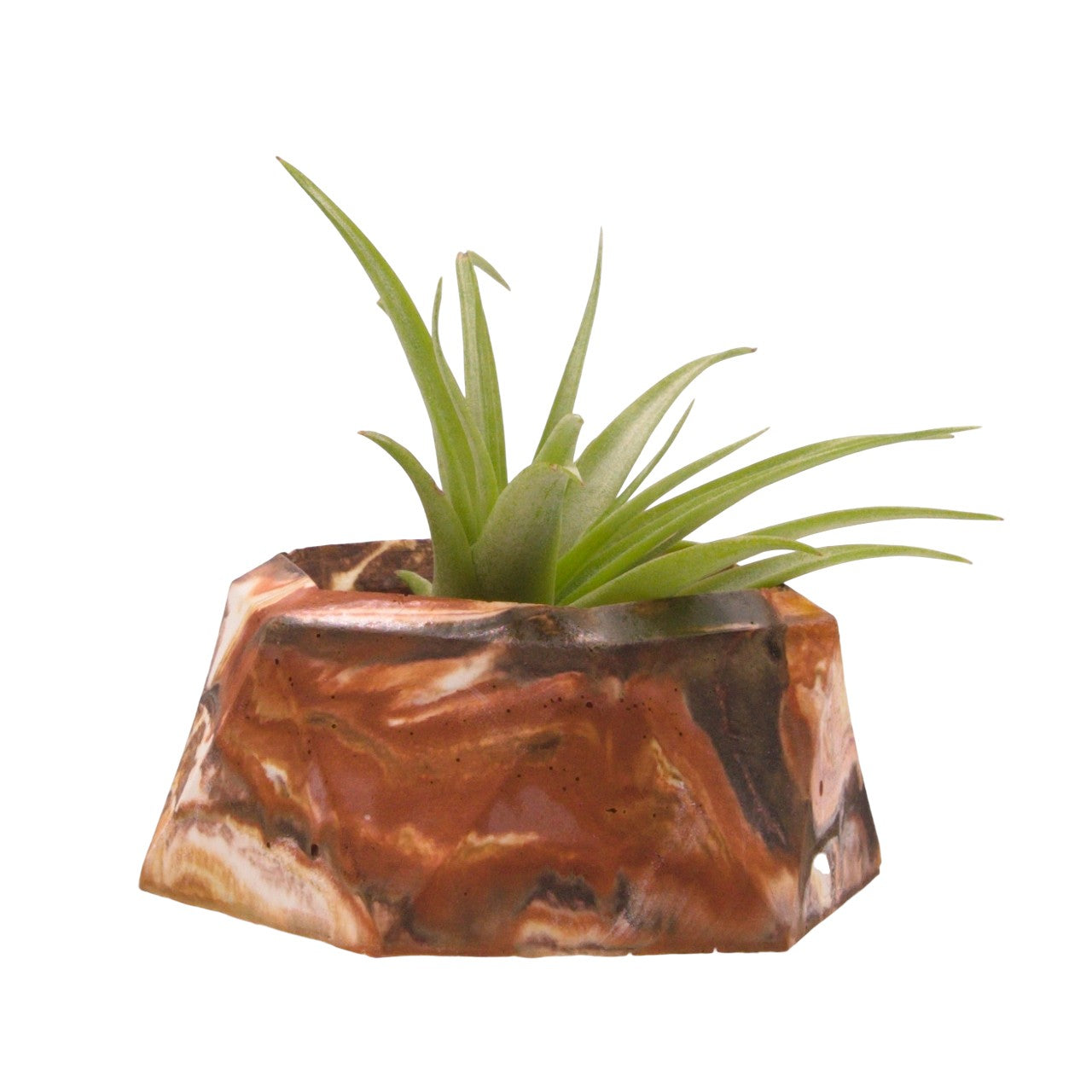 Monique hydrostone airplant pots