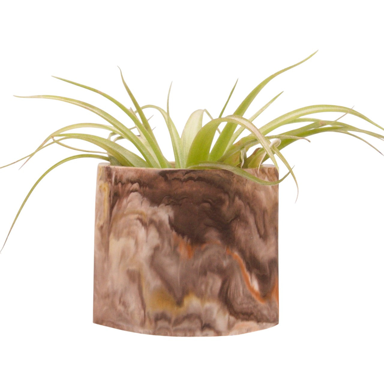 Monique hydrostone airplant pots