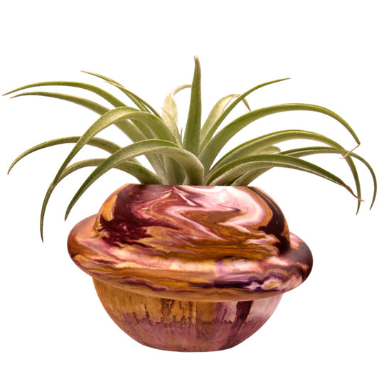 Saturn Airplant Pot