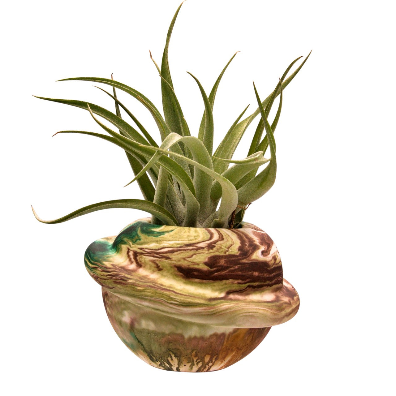 Saturn Airplant Pot