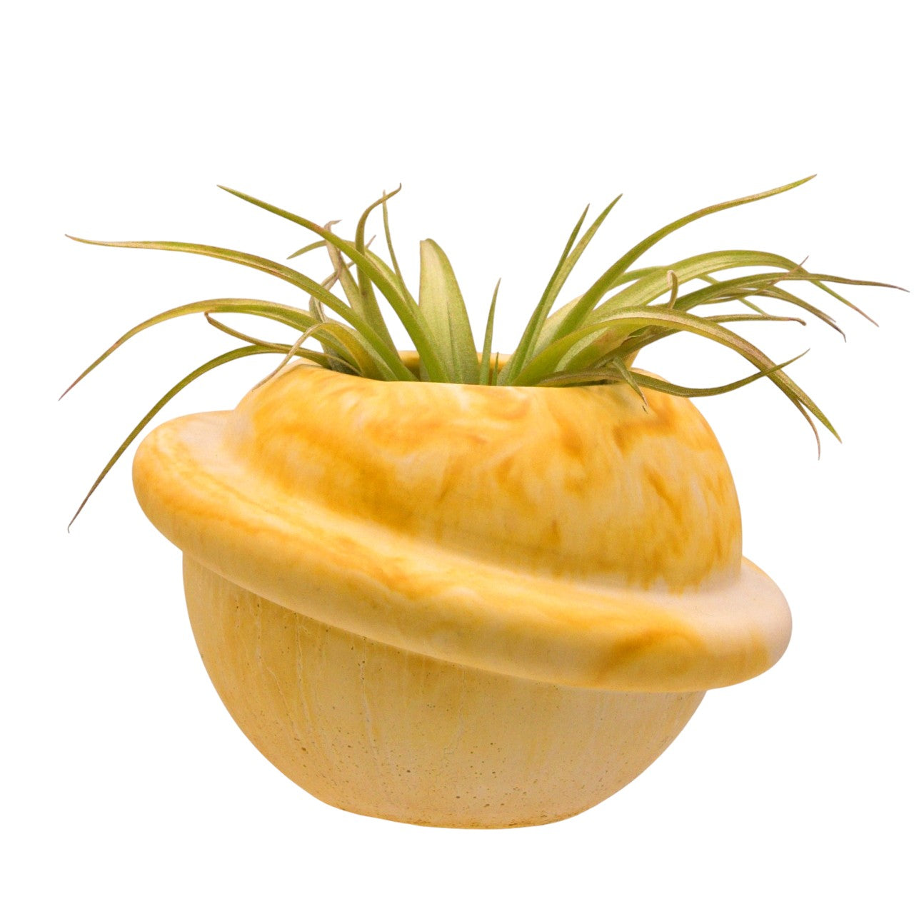 Saturn Airplant Pot