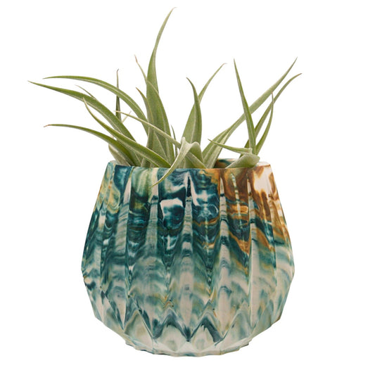 Suzanne hydrostone airplant pots