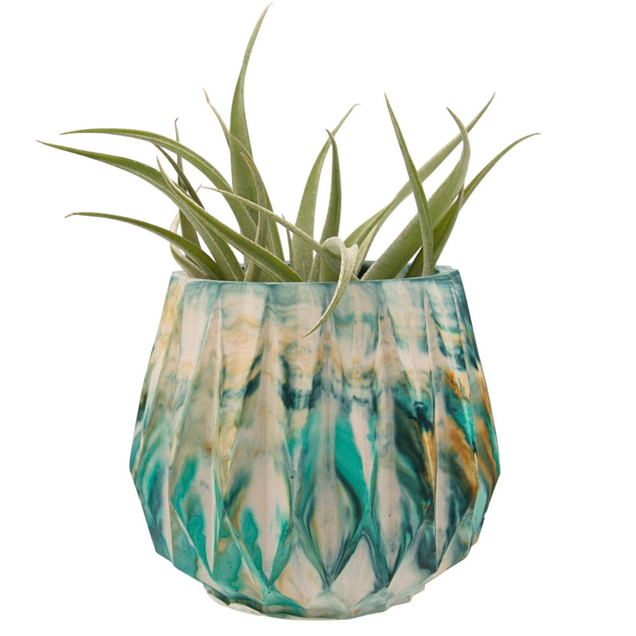 Suzanne hydrostone airplant pots