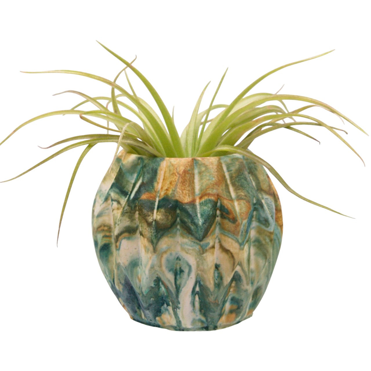 Suzanne hydrostone airplant pots