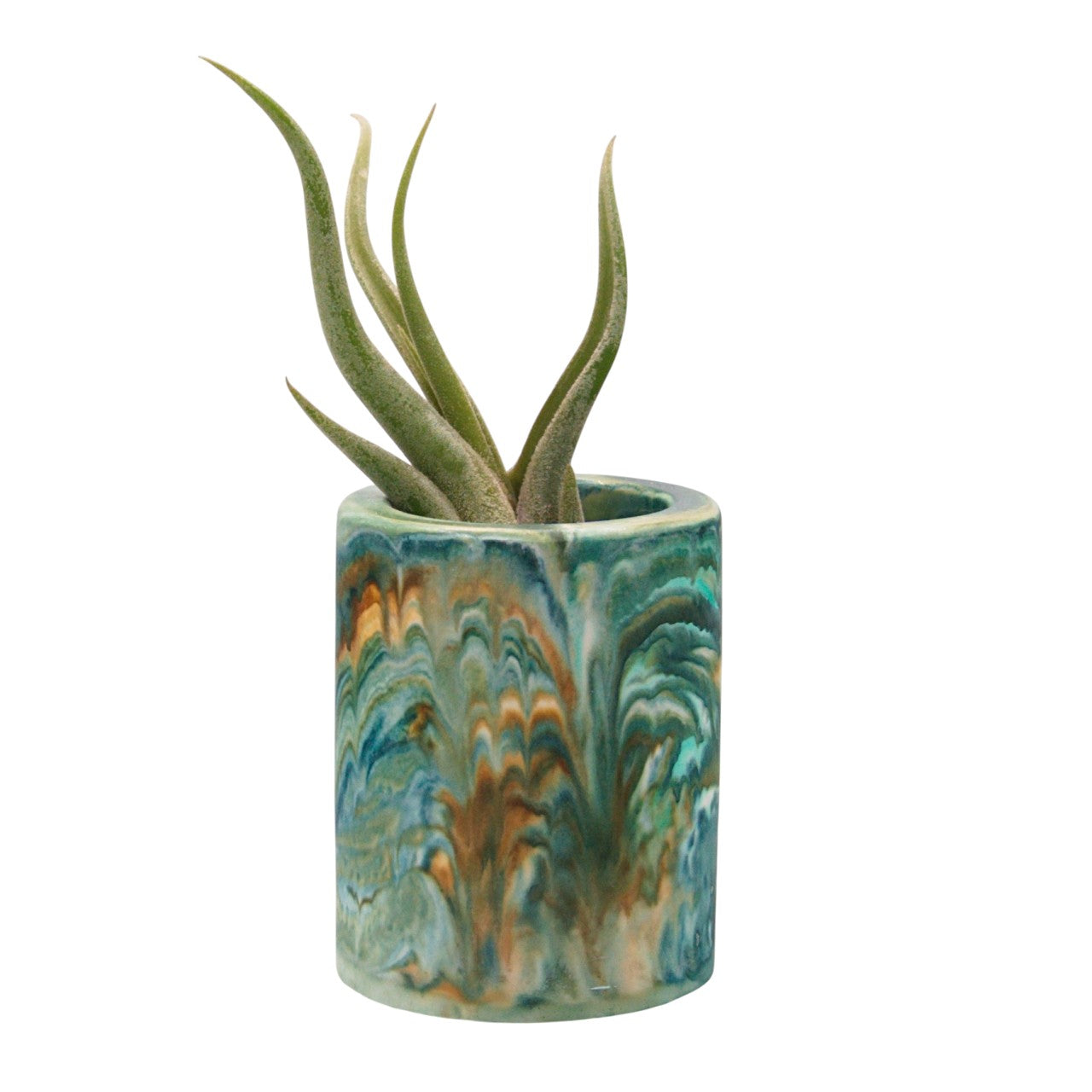 Suzanne hydrostone airplant pots