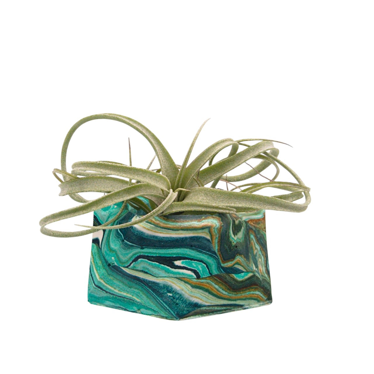 Suzanne hydrostone airplant pots