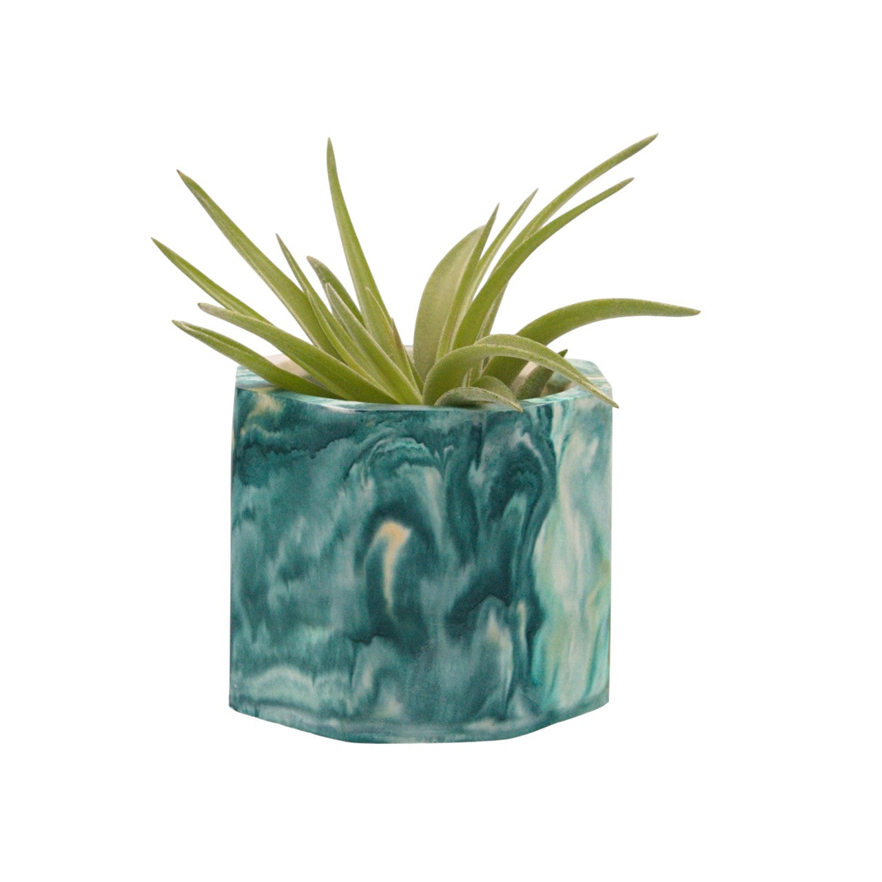 Suzanne hydrostone airplant pots