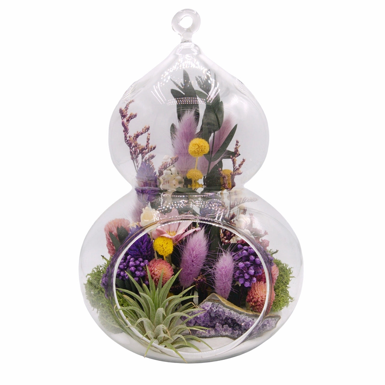 Airplant Moroccan-Inspired Terrarium