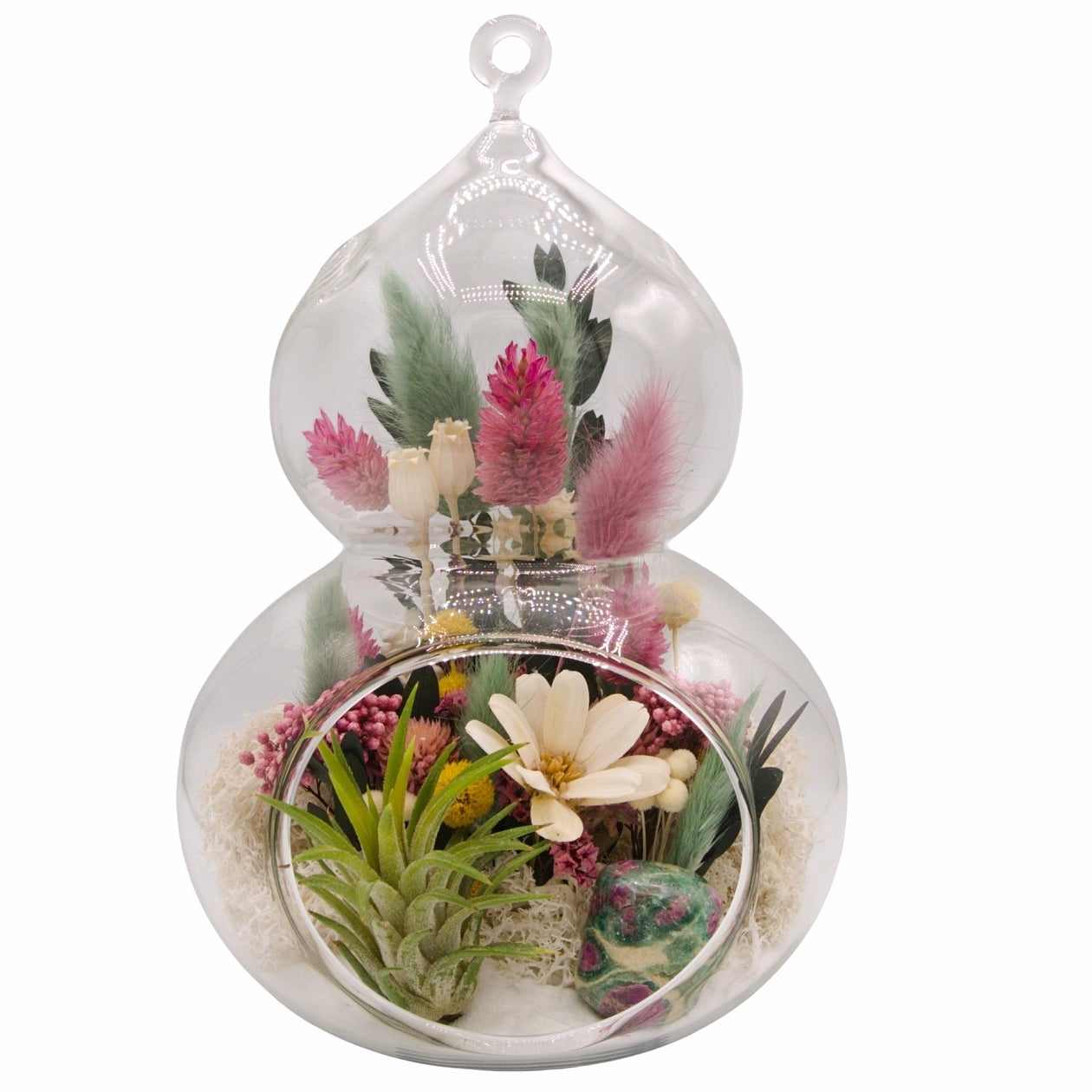 Airplant Moroccan-Inspired Terrarium