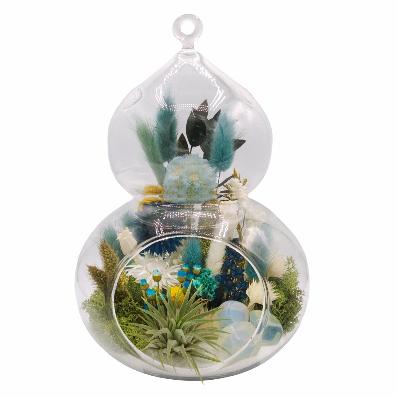 Airplant Moroccan-Inspired Terrarium