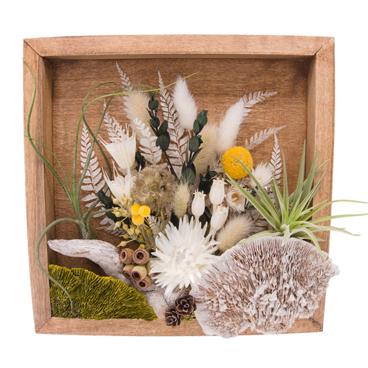 Stained wooden square frame with dried flowers, moss, dried mushrooms, dried flowers and two airplants or tillandsias