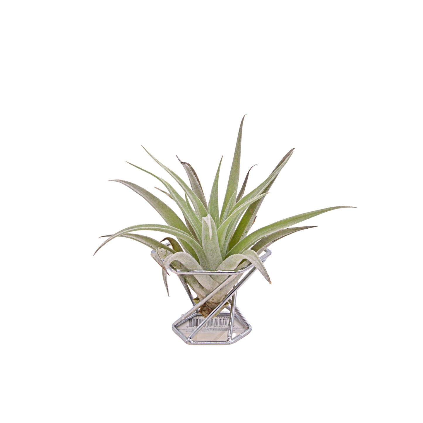 Hexagon Airplant Stand