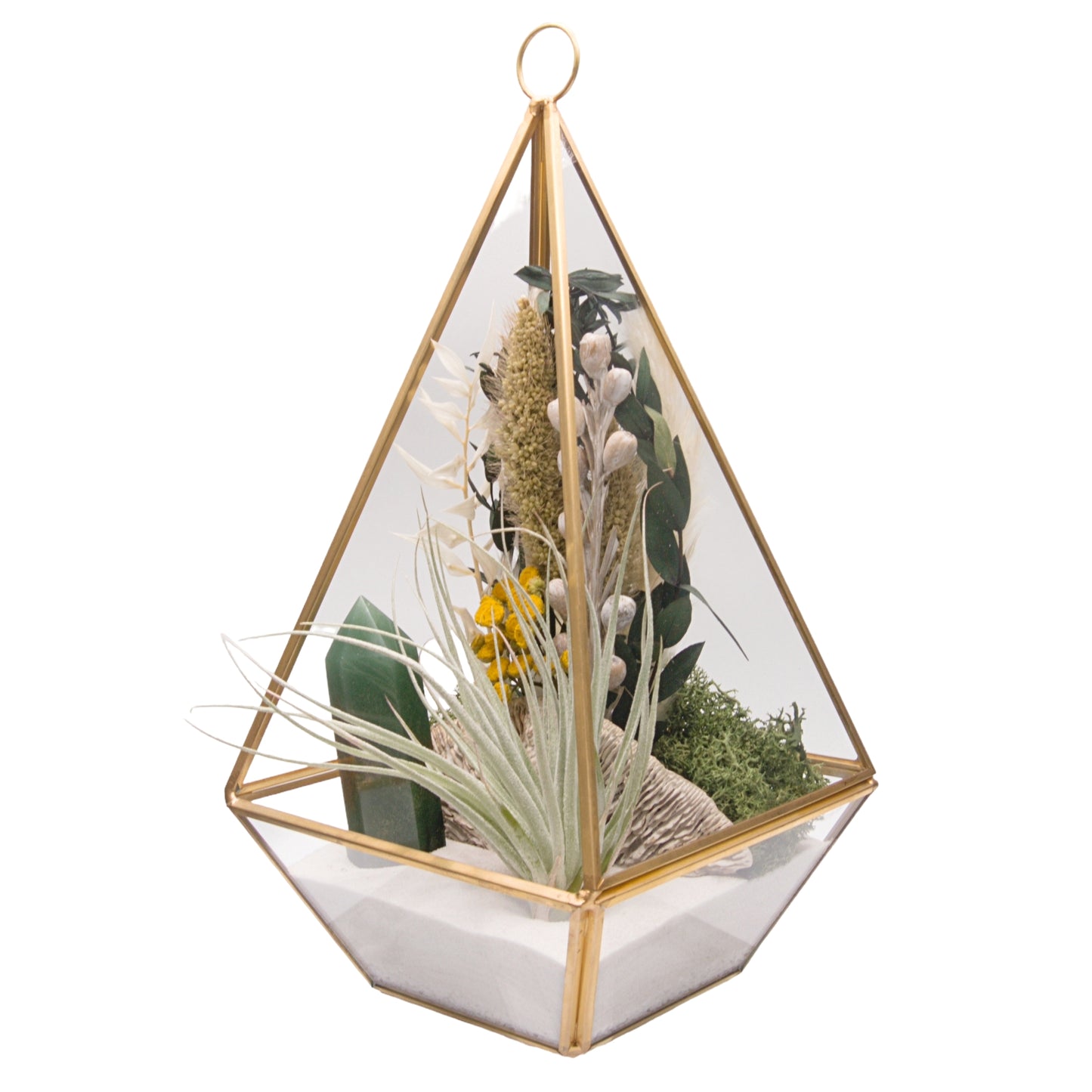 Grand Terrarium Victorien avec une plante aérienne et une cristal d'aventurine