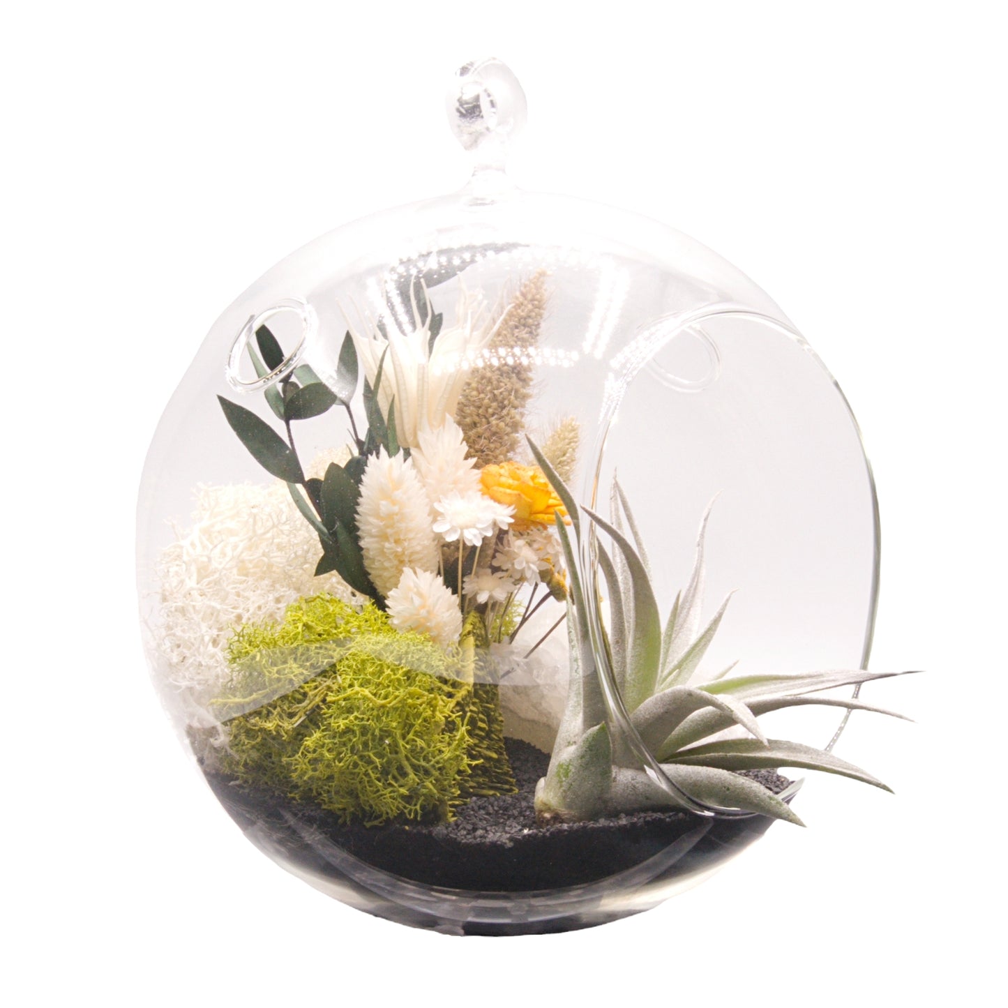 Terrarium à bulle avec une plante aérienne et un cristal d'apophyllite