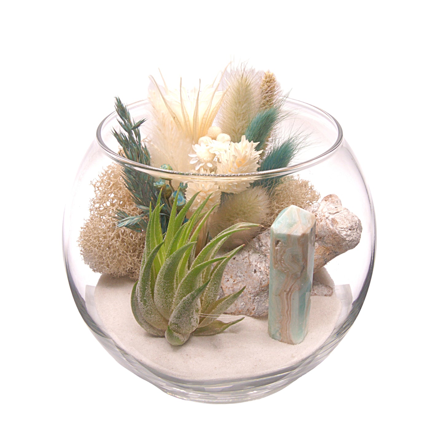 Terrarium à bol avec une plante aérienne - Calcite des Caraïbes