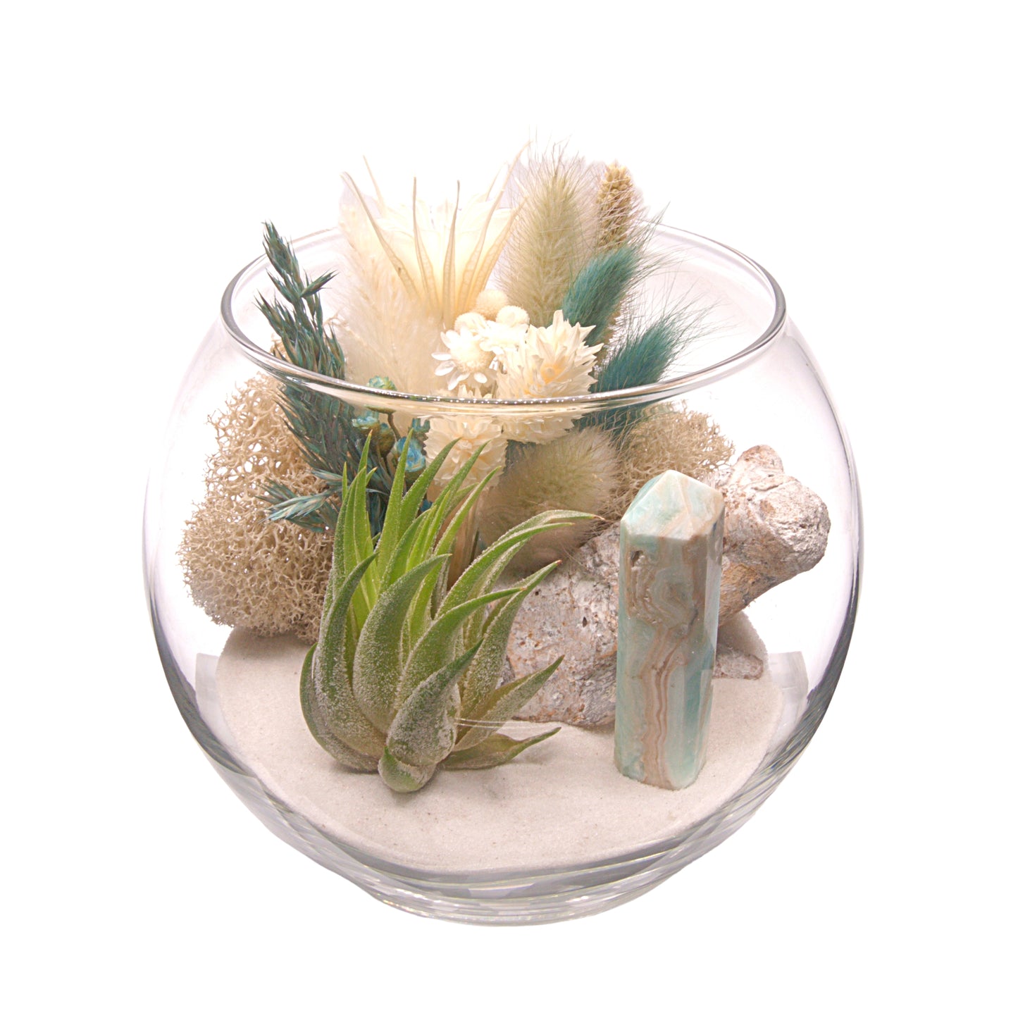 Tillandsia Airplant Terrarium - Caribbean Calcite