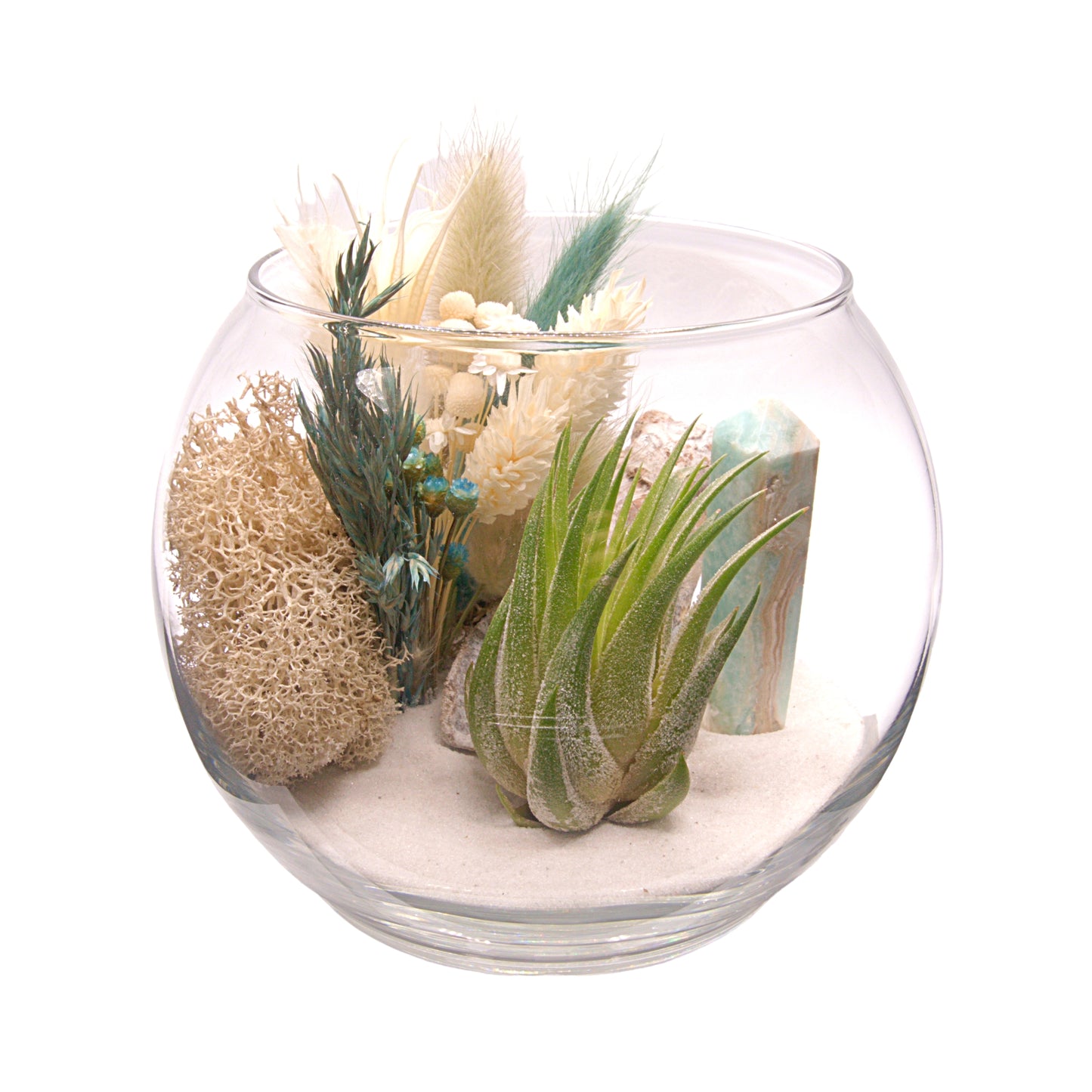 Terrarium à bol avec une plante aérienne - Calcite des Caraïbes