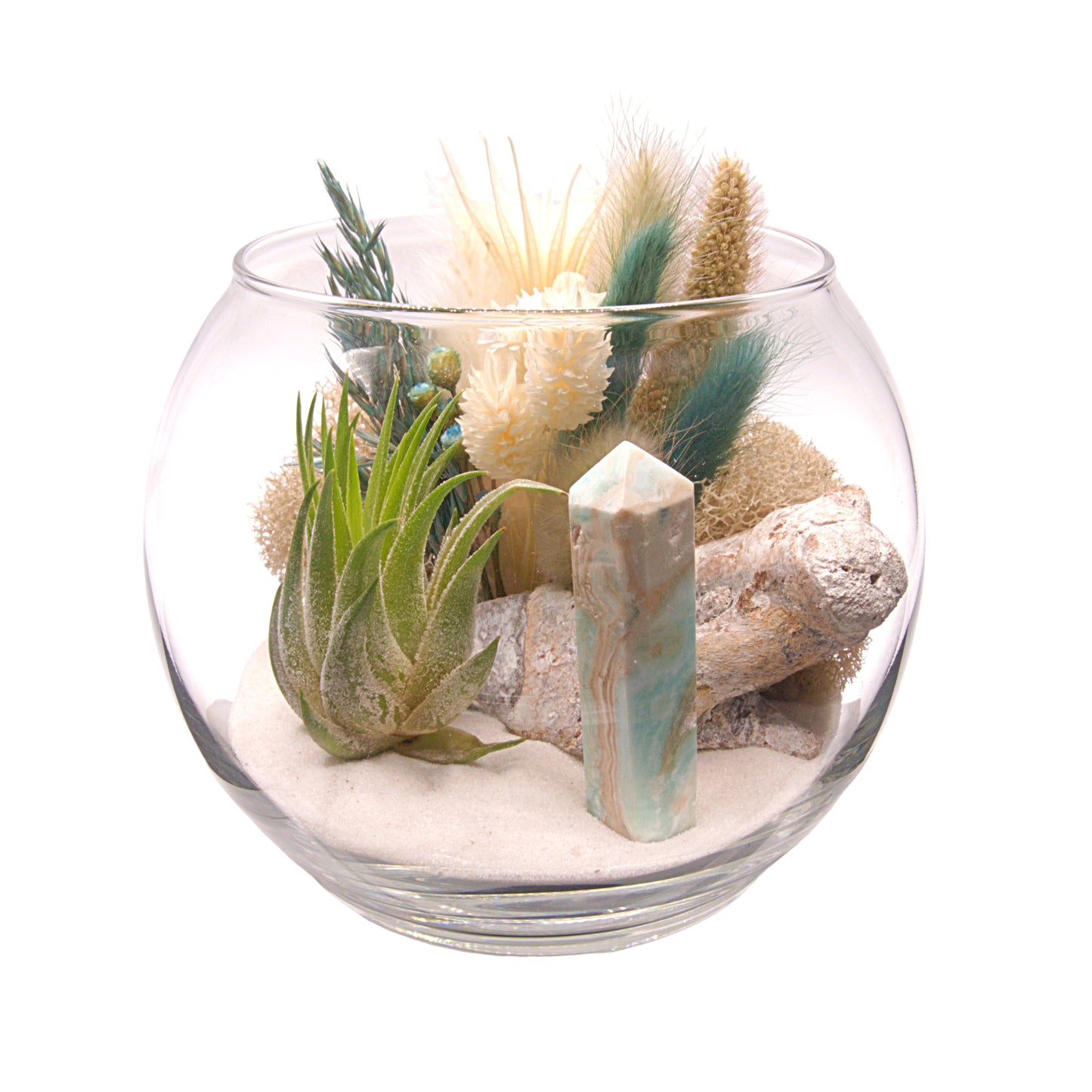 Terrarium à bol avec une plante aérienne - Calcite des Caraïbes