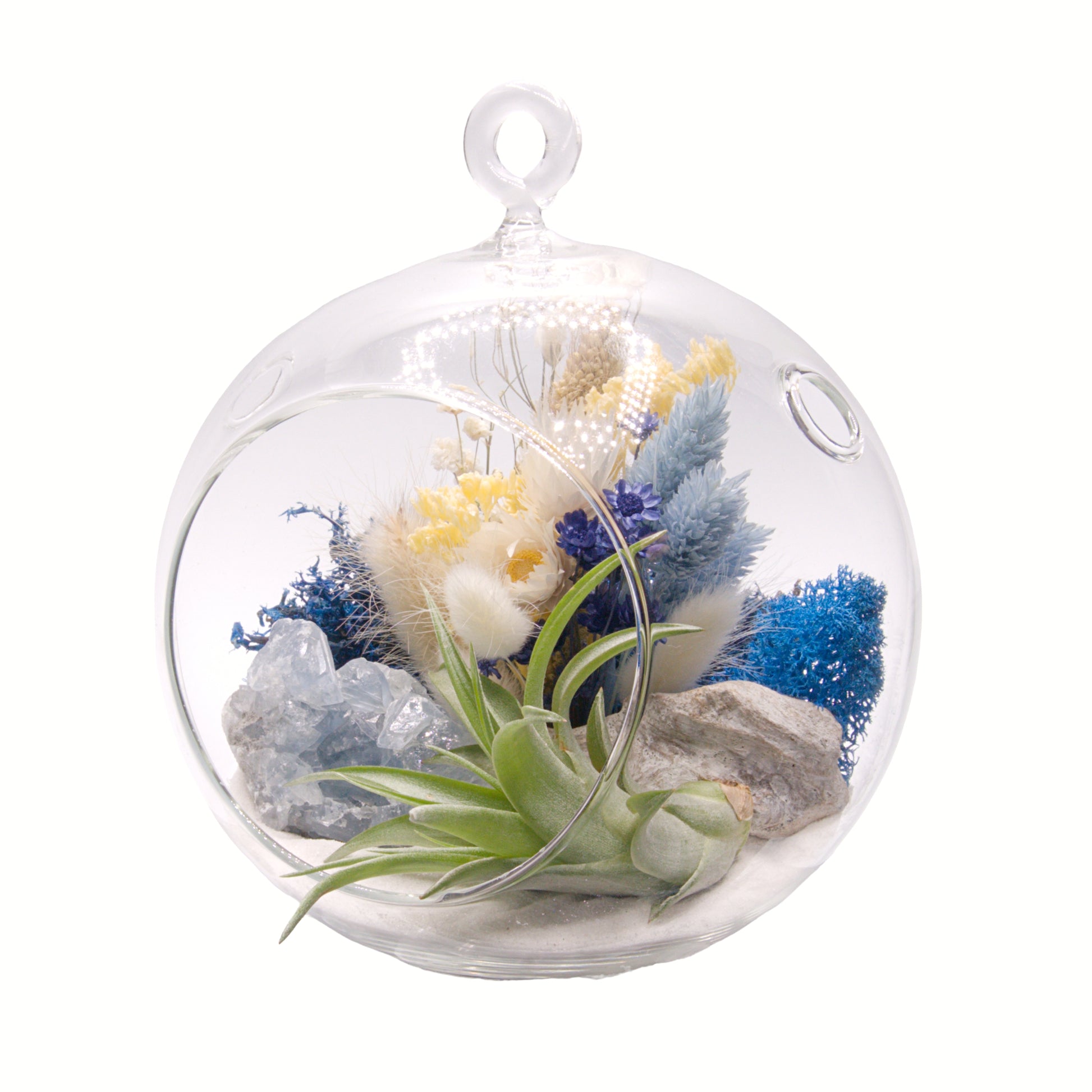 Glass bubble airplant terrarium with dried flowers and a celestite crystal