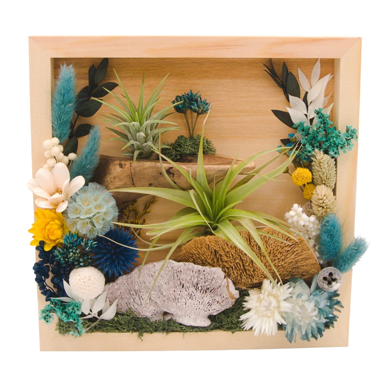 Airplant Landscape Frames 8x8 Turquoise Flowers
