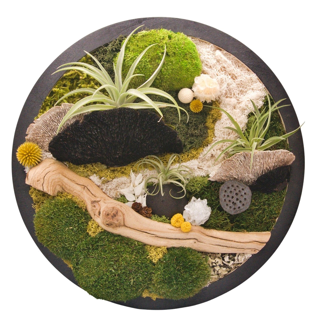 Airplant Moss & Floral Landscape - Round Frame