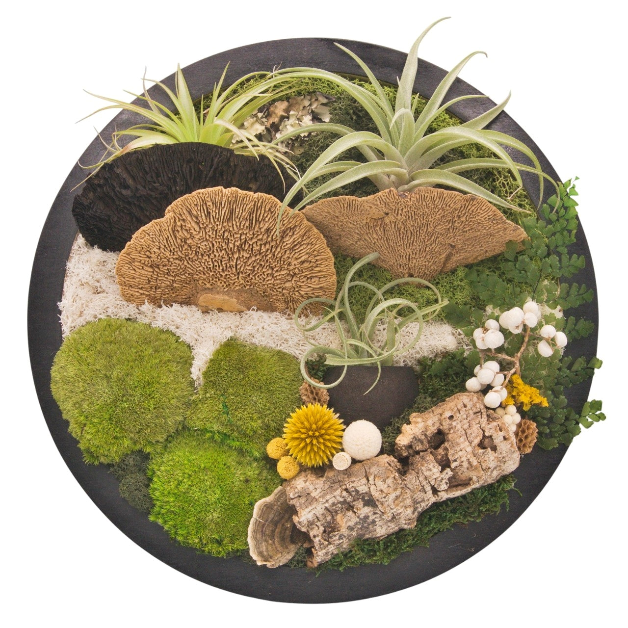 Airplant Moss & Floral Landscape - Round Frame