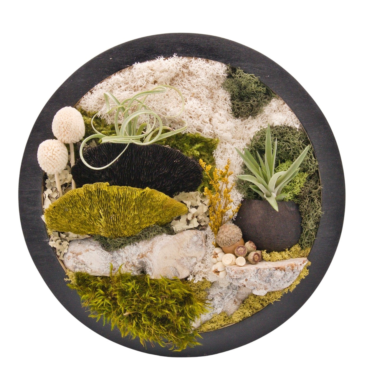 Airplant Moss & Floral Landscape - Round Frame