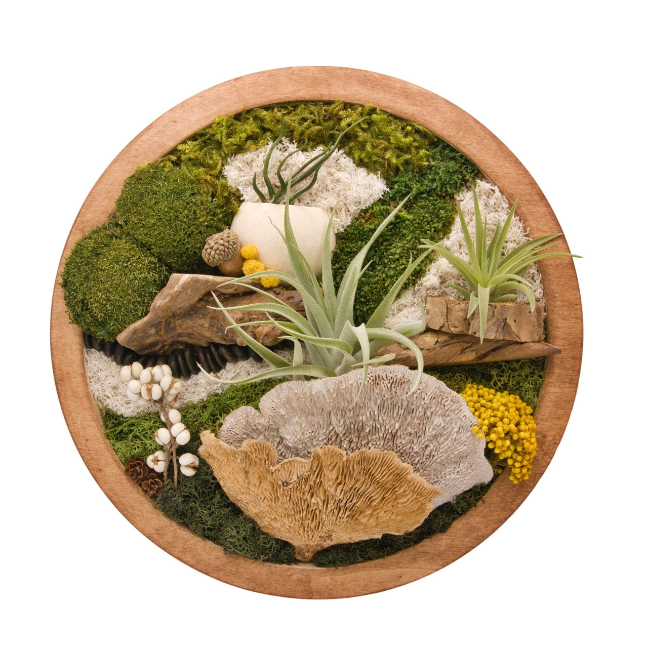 Airplant Moss & Floral Landscape - Round Frame