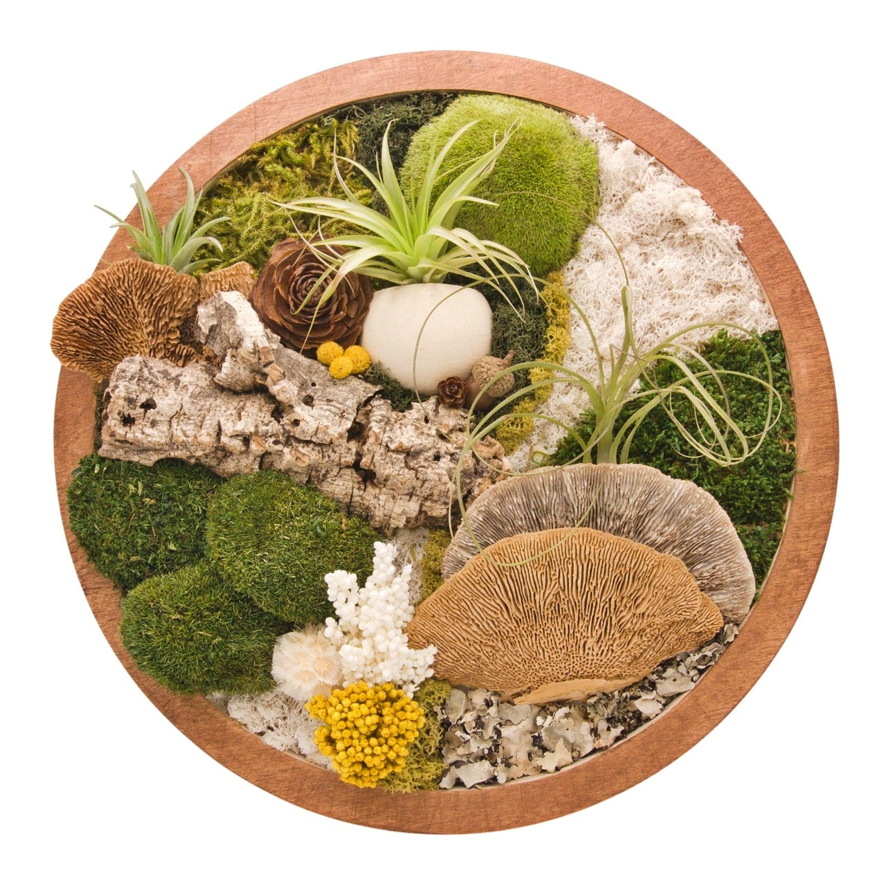 Airplant Moss & Floral Landscape - Round Frame