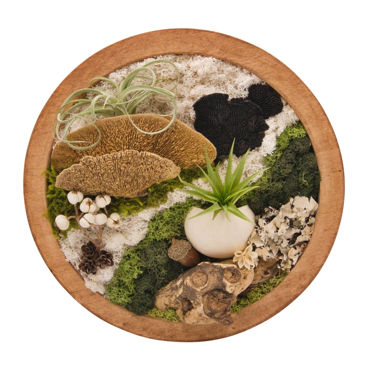 Airplant Moss & Floral Landscape - Round Frame