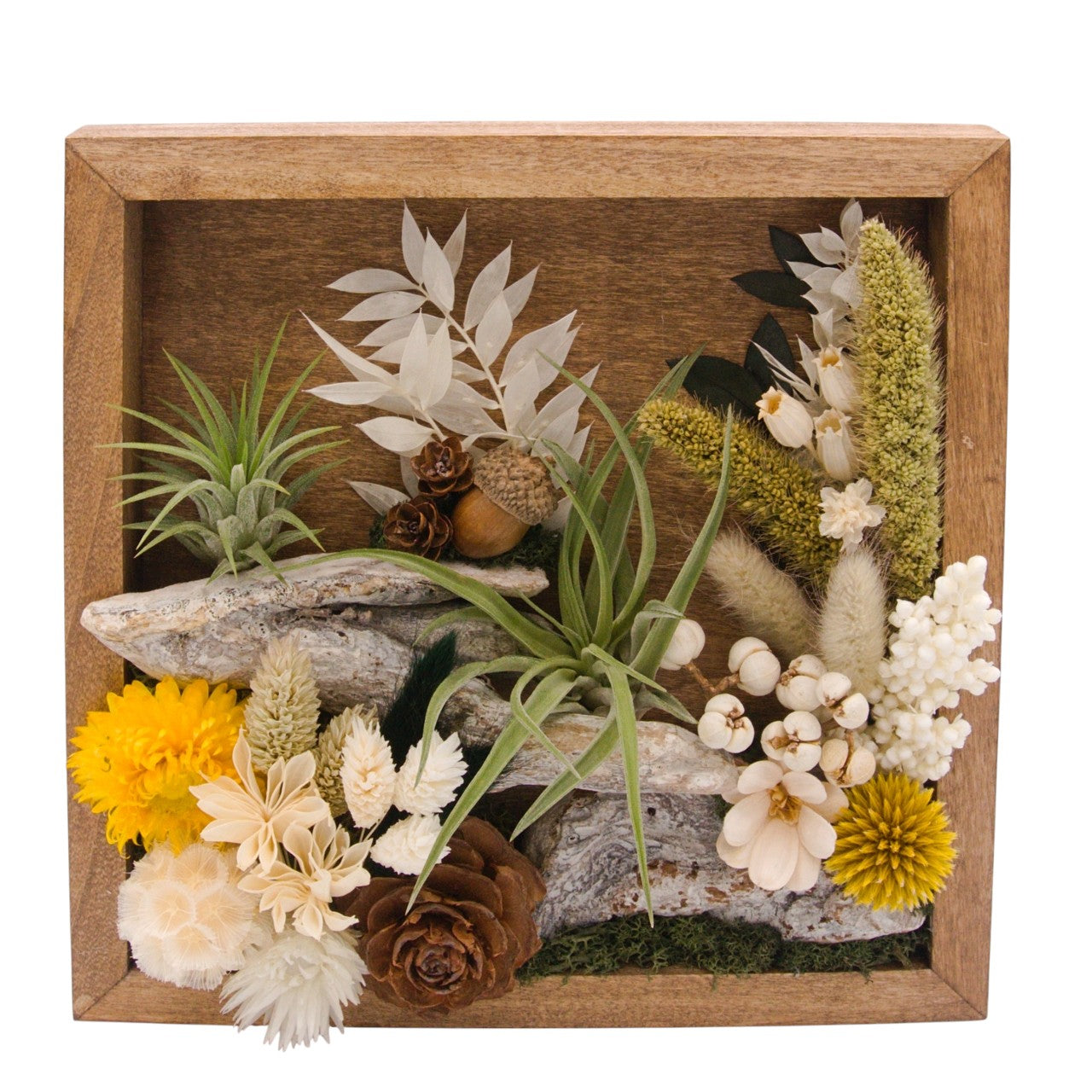 Airplant Landscape Frames 8x8 Green Flowers