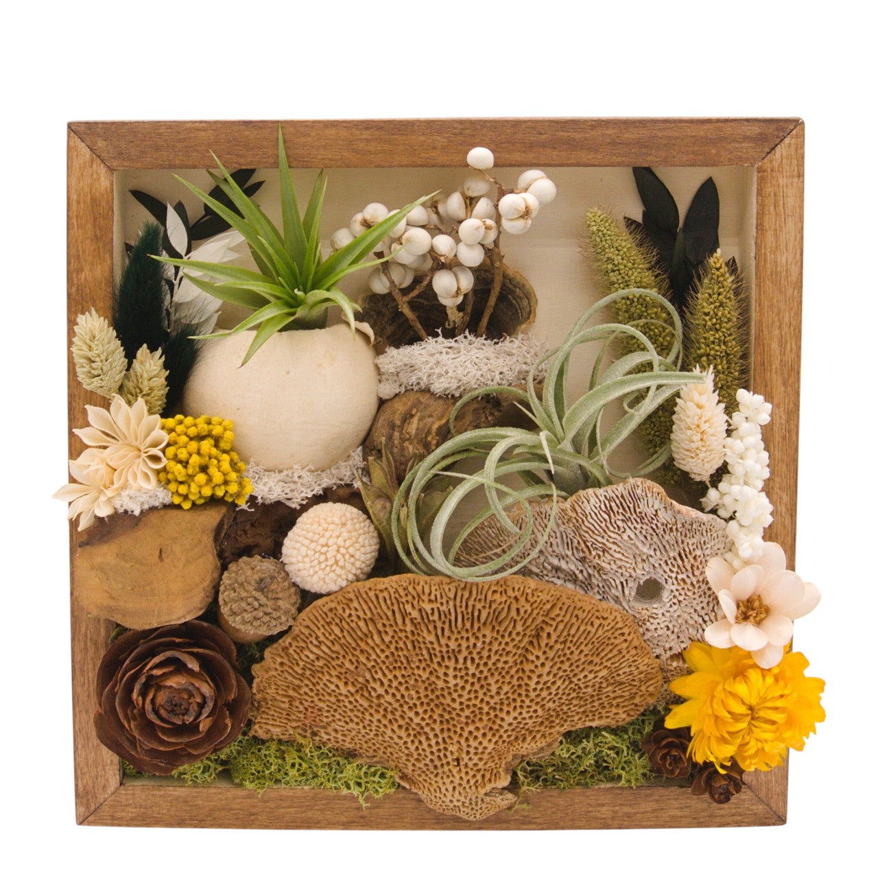 Airplant Landscape Frames 8x8 Green Flowers