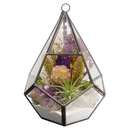 Victorian Airplant Terrarium Large - Amethyst