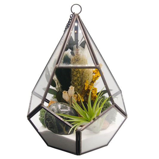 Terrarium victorien grand - Pierre de jaspe kambaba