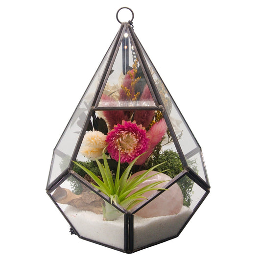 Victorian Airplant Terrarium Large - Rose Quartz crystal