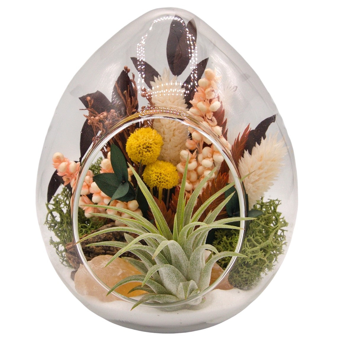 Terrarium plante aérienne en forme de dôme - cristaux de calcite oranges