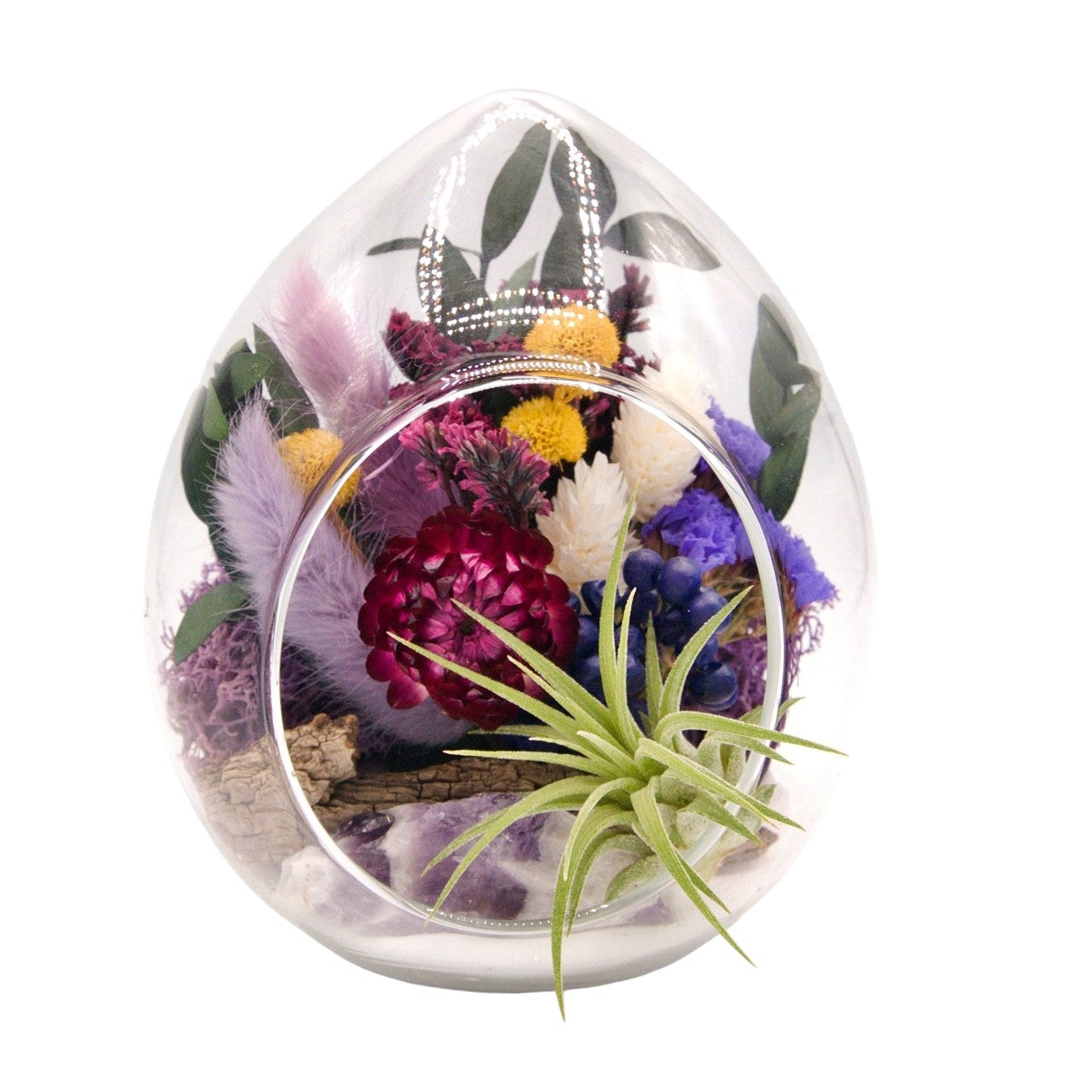 Airplant pod terrarium - amethyst crystals