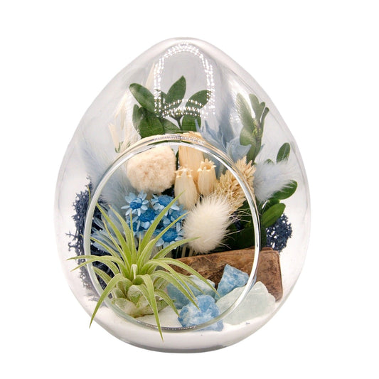 Terrarium plante aérienne en forme de dôme - cristaux aigue-marine