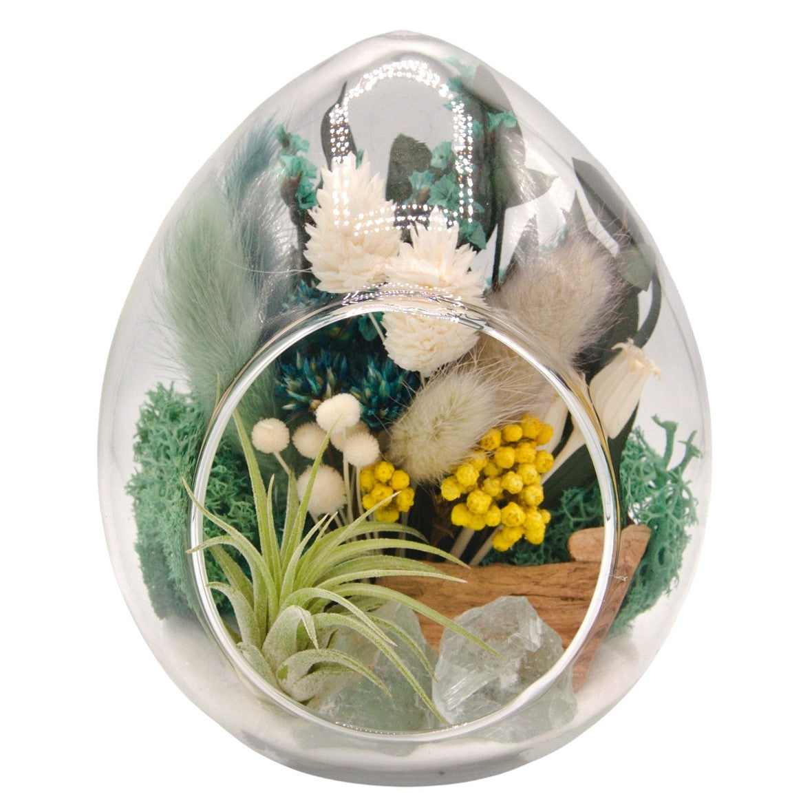 Terrarium plante aérienne en forme de dôme - cristaux de fluorite verts