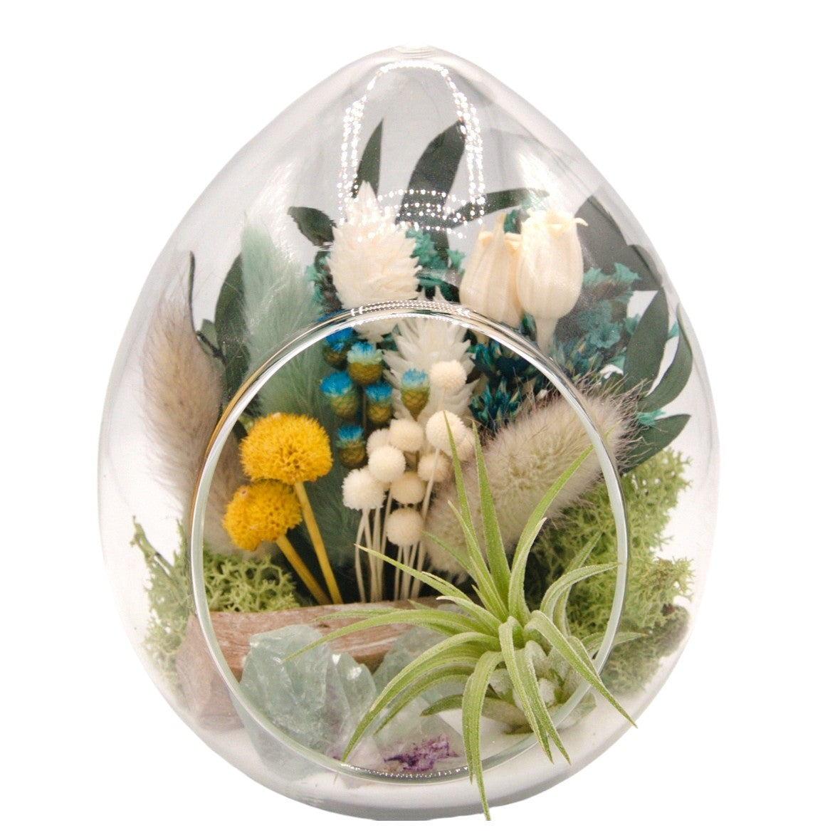 Terrarium plante aérienne en forme de dôme - cristaux de fluorite verts