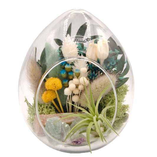 Terrarium plante aérienne en forme de dôme - cristaux de fluorite verts