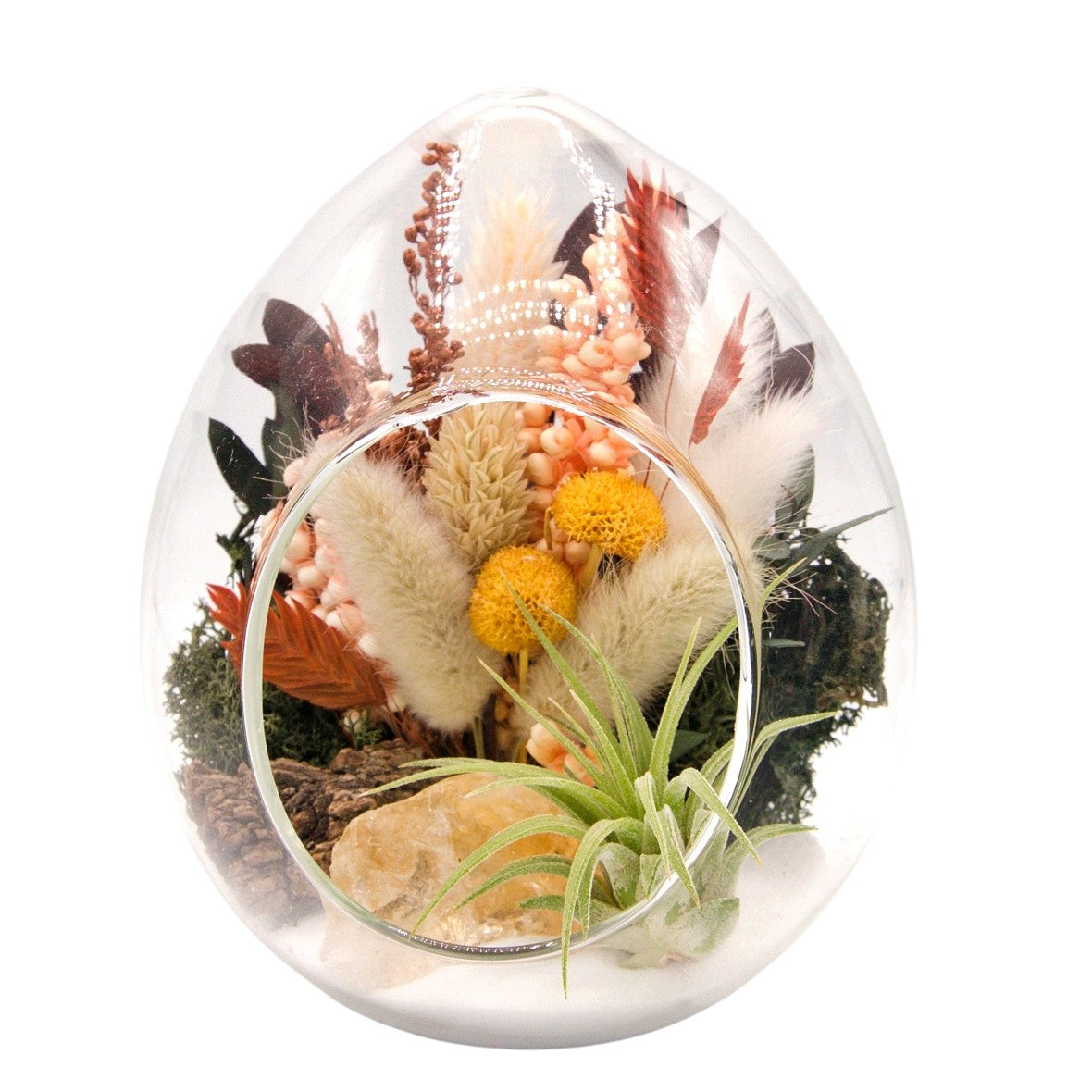 Terrarium plante aérienne en forme de dôme - cristaux de calcite oranges