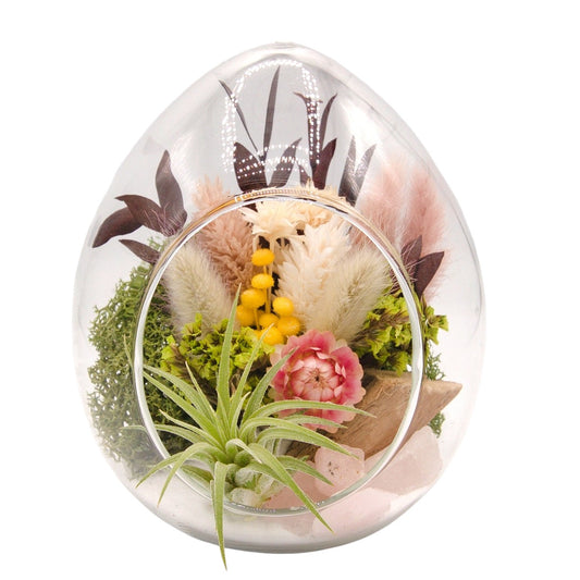Terrarium plante aérienne en forme de dôme - cristaux de calcite oranges