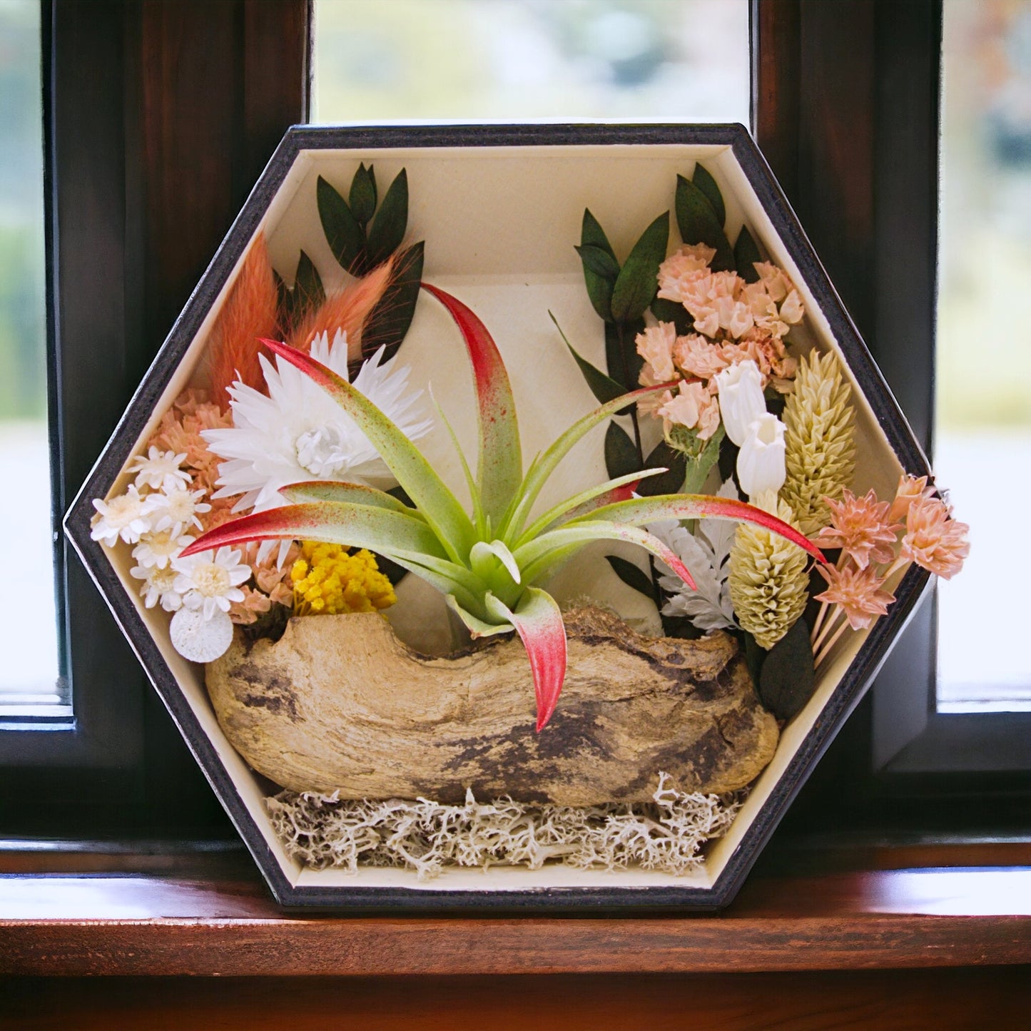Airplant Art Frames - Hexagon Coral Flowers