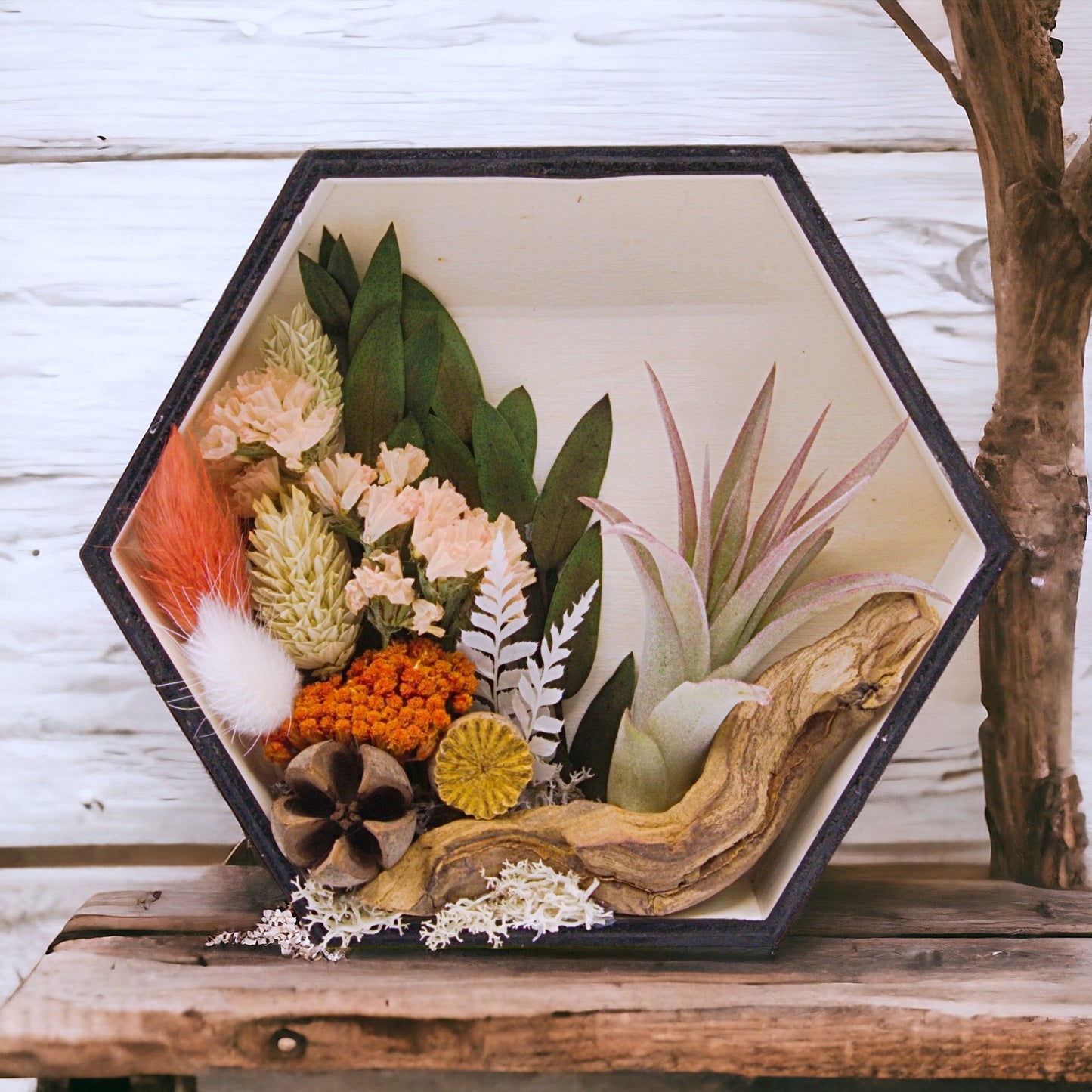 Airplant Art Frames - Hexagon Coral Flowers