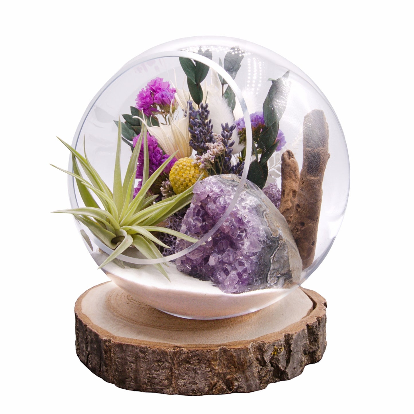 Terrarium à bulle avec plante aérienne - Améthyste Cathédrale de cristal