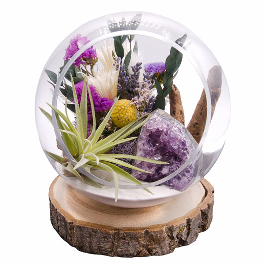 Terrarium à bulle avec plante aérienne - Améthyste Cathédrale de cristal
