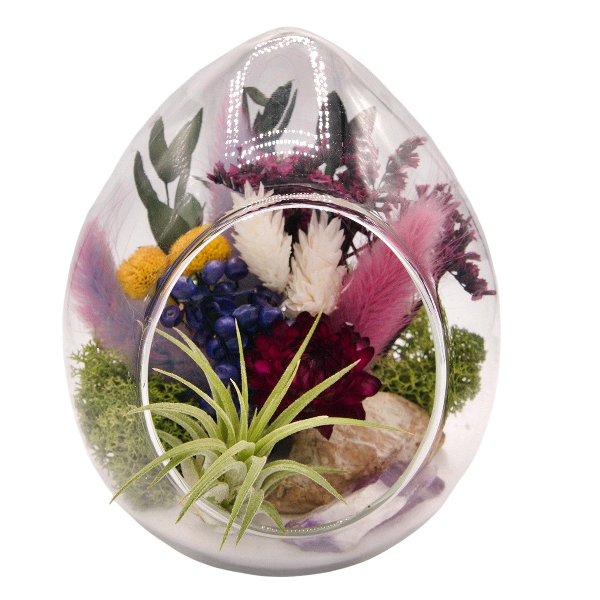 Airplant pod terrarium - amethyst crystals