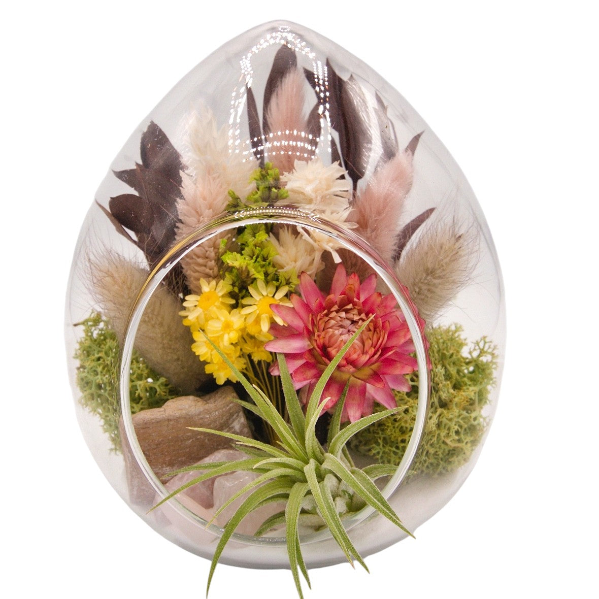 Airplant pod terrarium - Rose Quartz crystals
