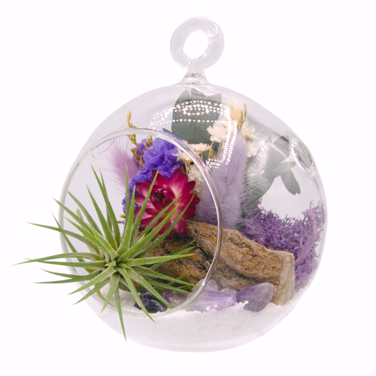 Airplant Bubble Terrarium Small - Amethyst